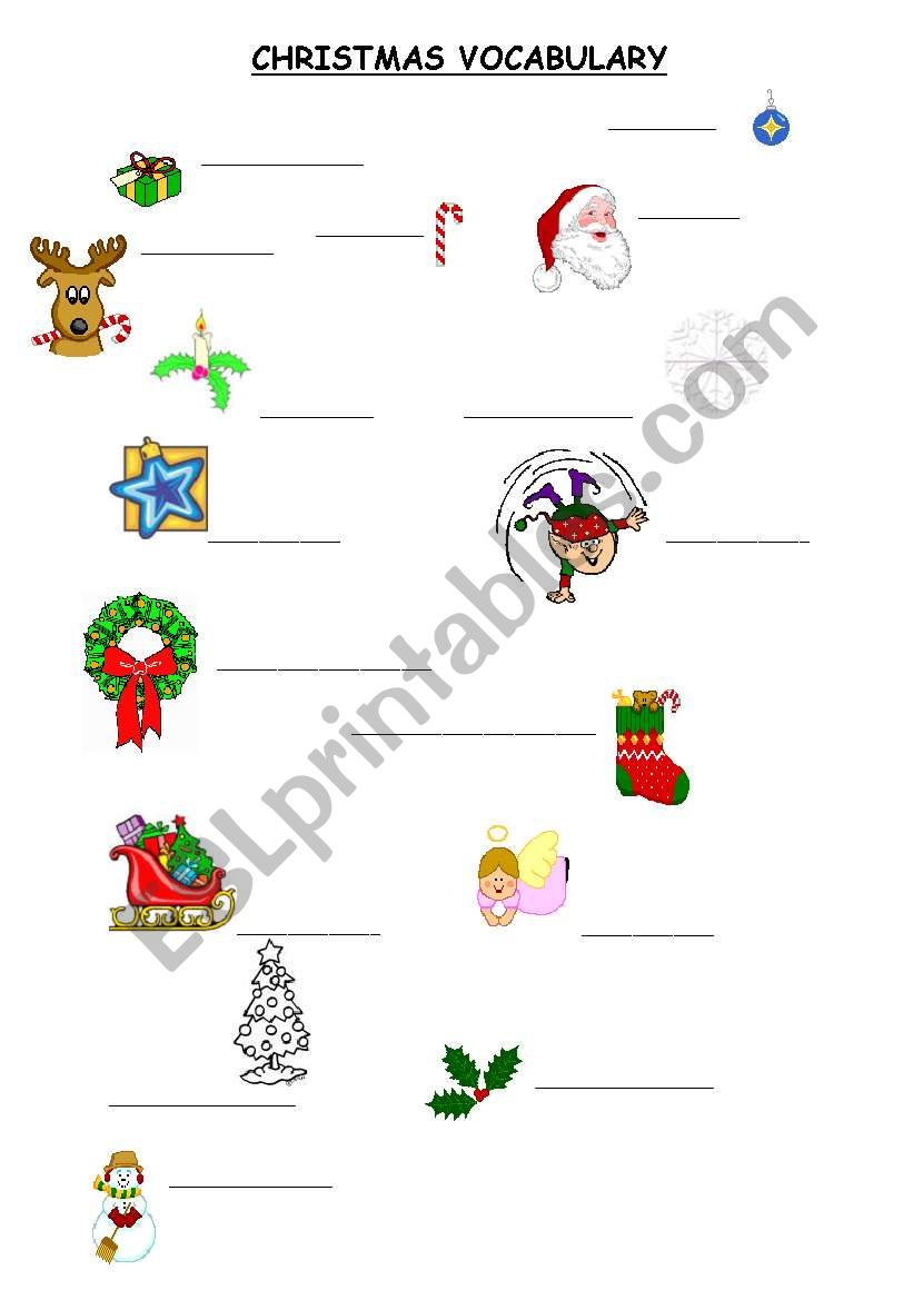 Christmas Vocabulary worksheet