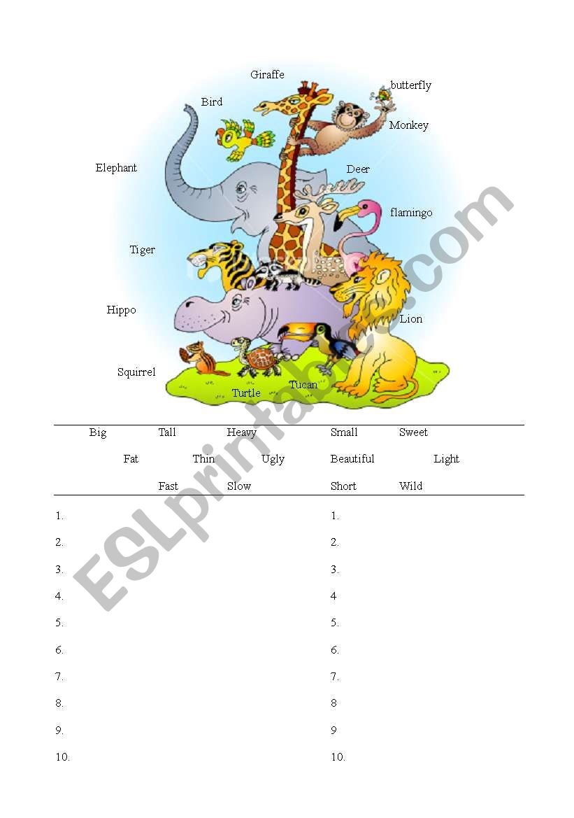 Comparative animals worksheet