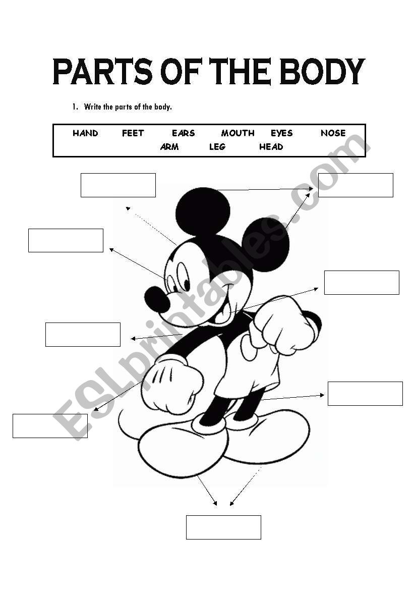 Parts of the body worksheet