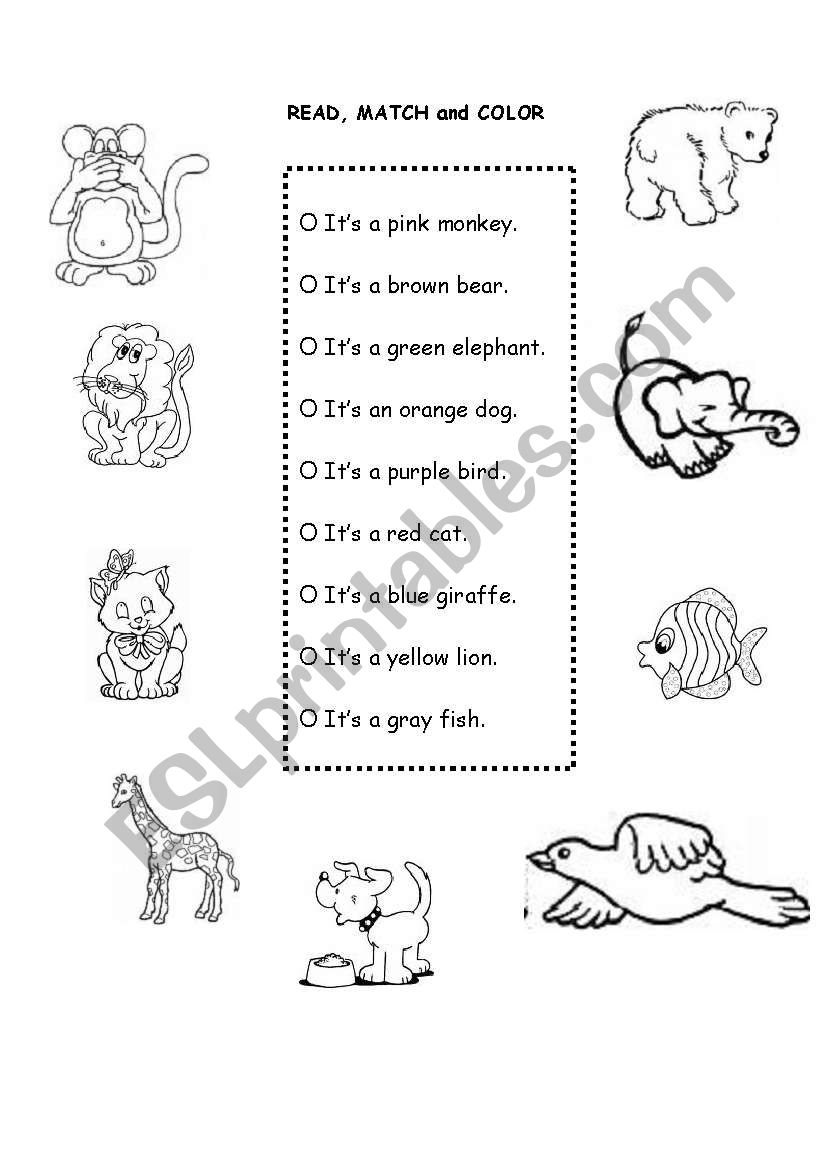 animals worksheet