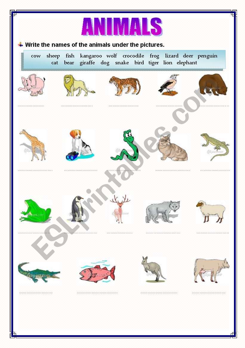 ANIMALS worksheet