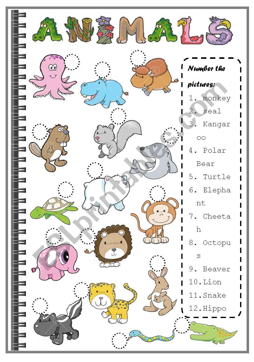 ANIMALS worksheet