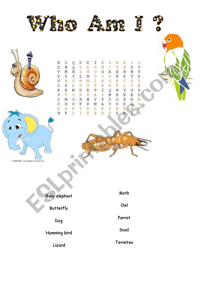 word search worksheet