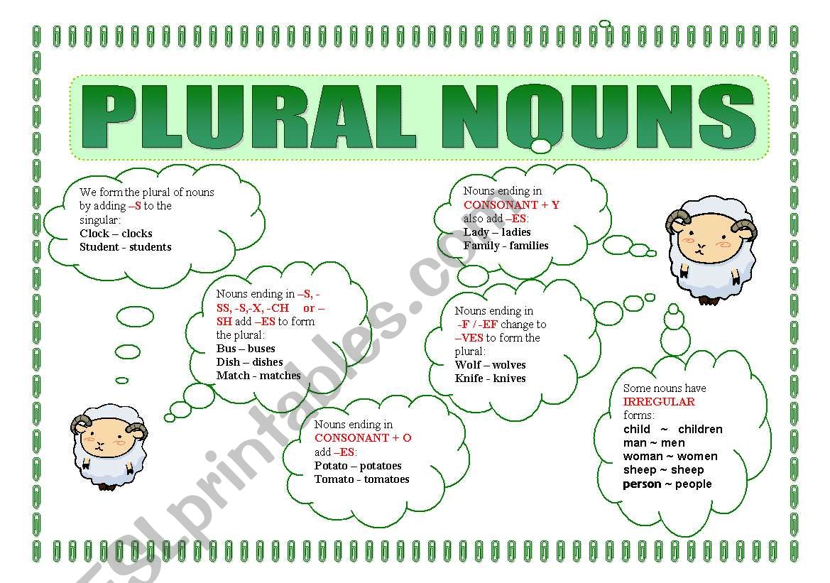 PLURAL NOUNS worksheet