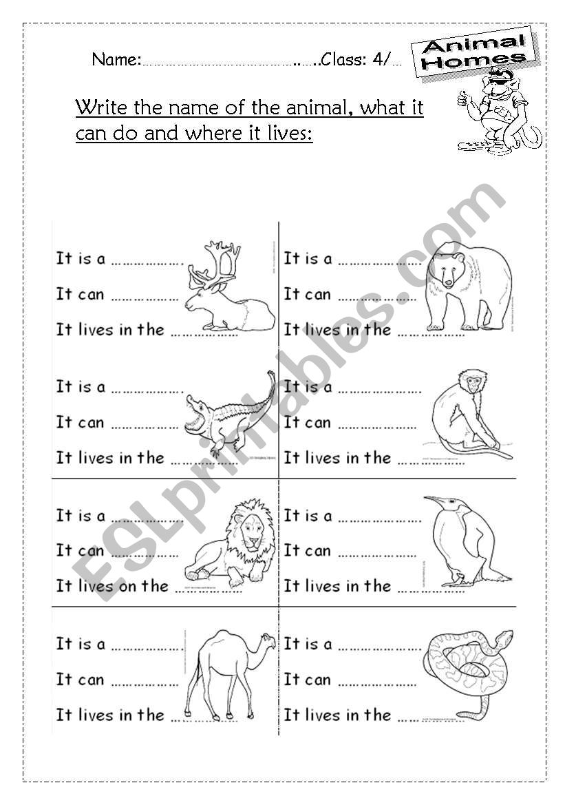 animals homes worksheet