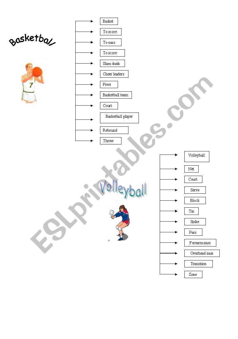 vocabulary about sports worksheet