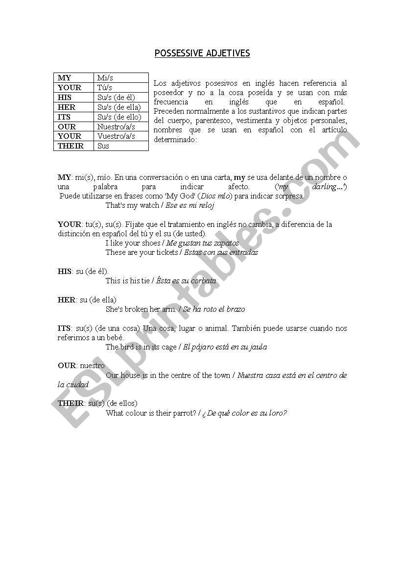 POSSESIVES! worksheet