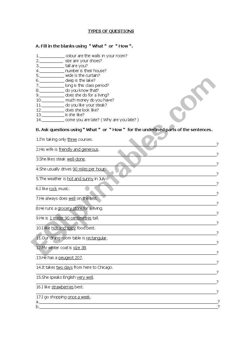 types of questions worksheet