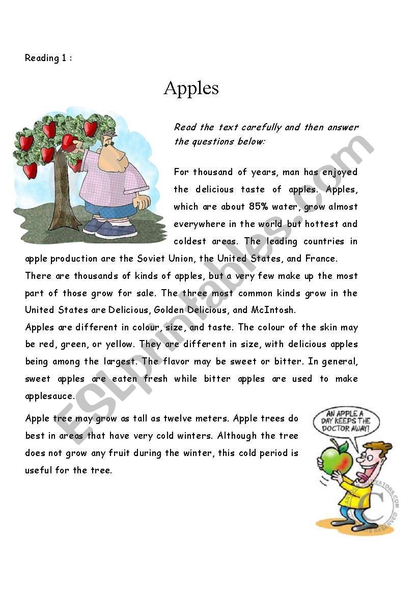 reading apple test worksheet