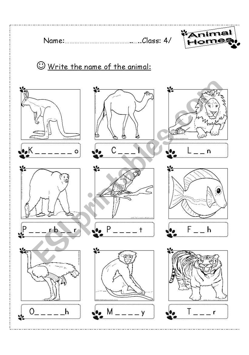 write the name of the animal worksheet