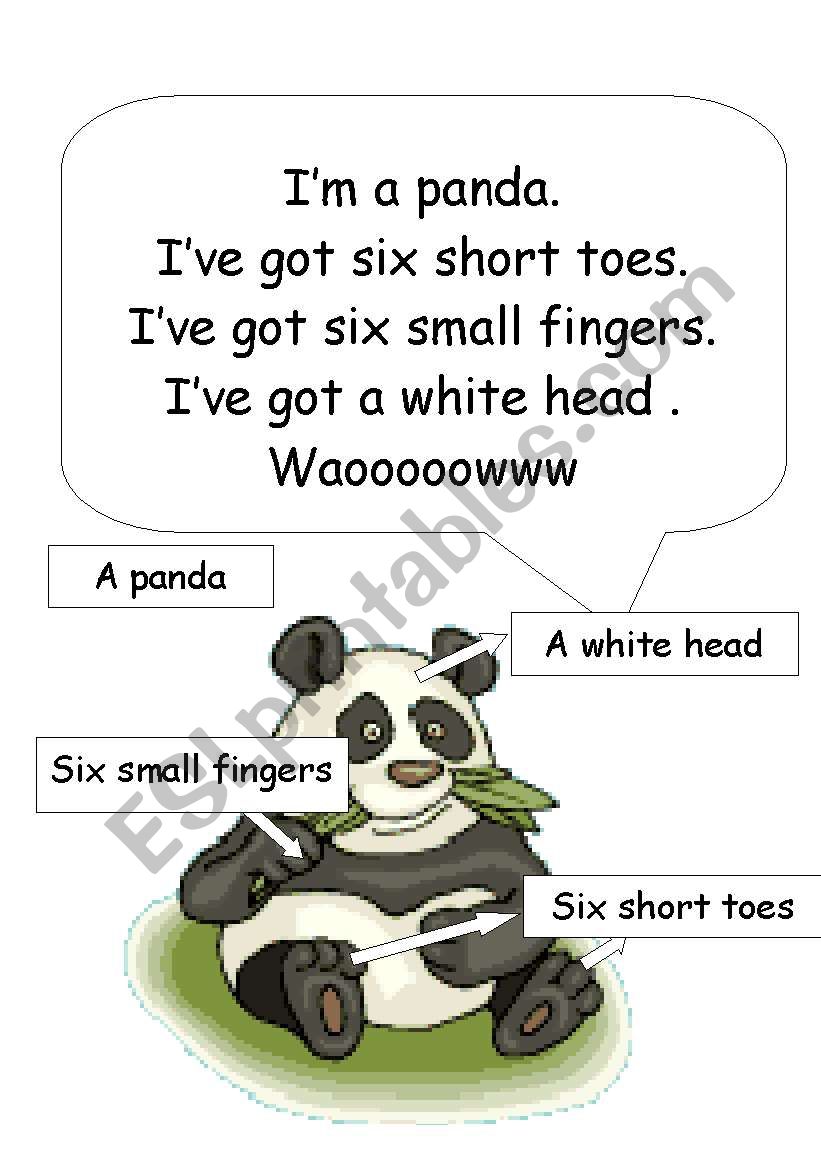 panda body worksheet