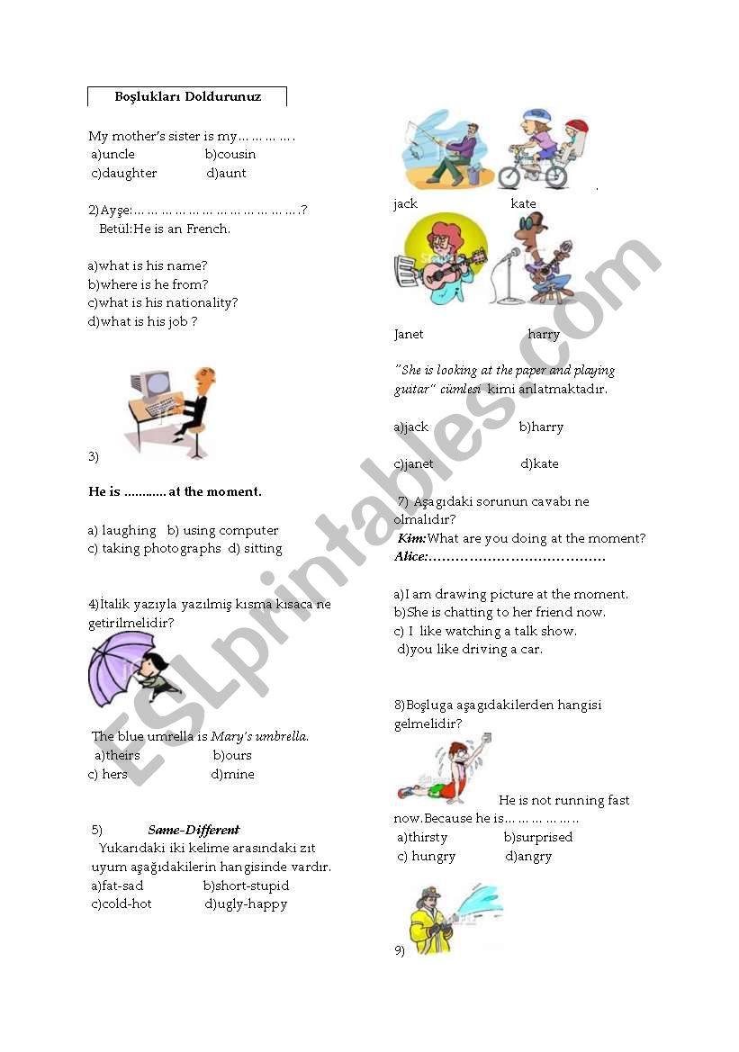 have got&has got worksheet