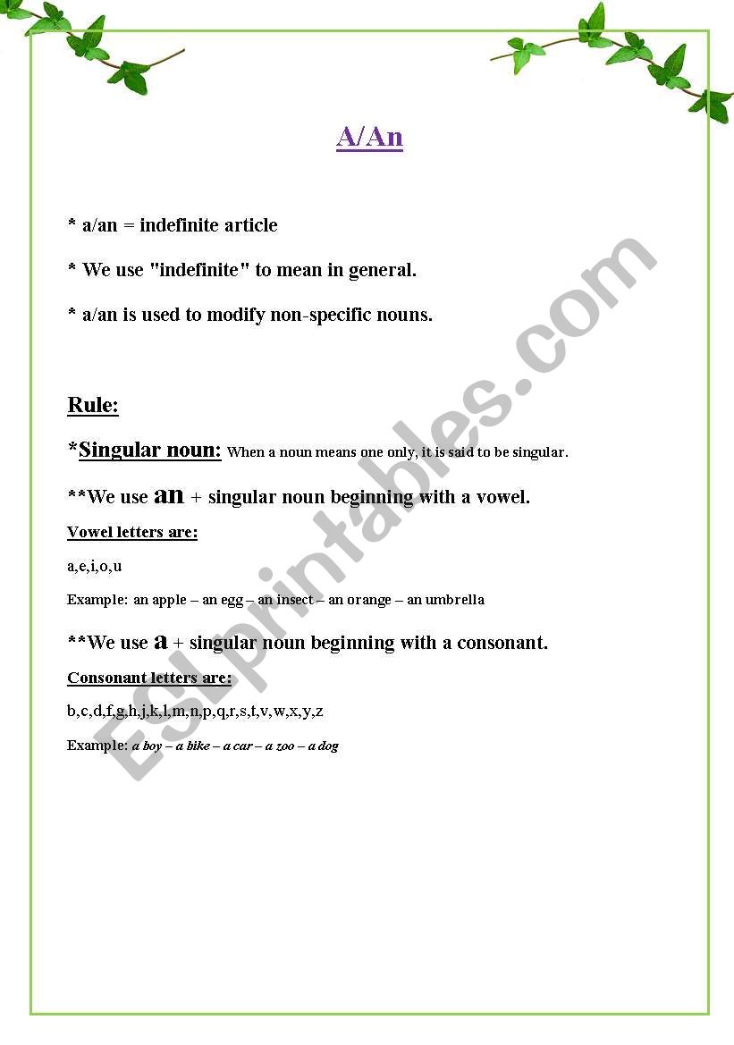 A-An worksheet