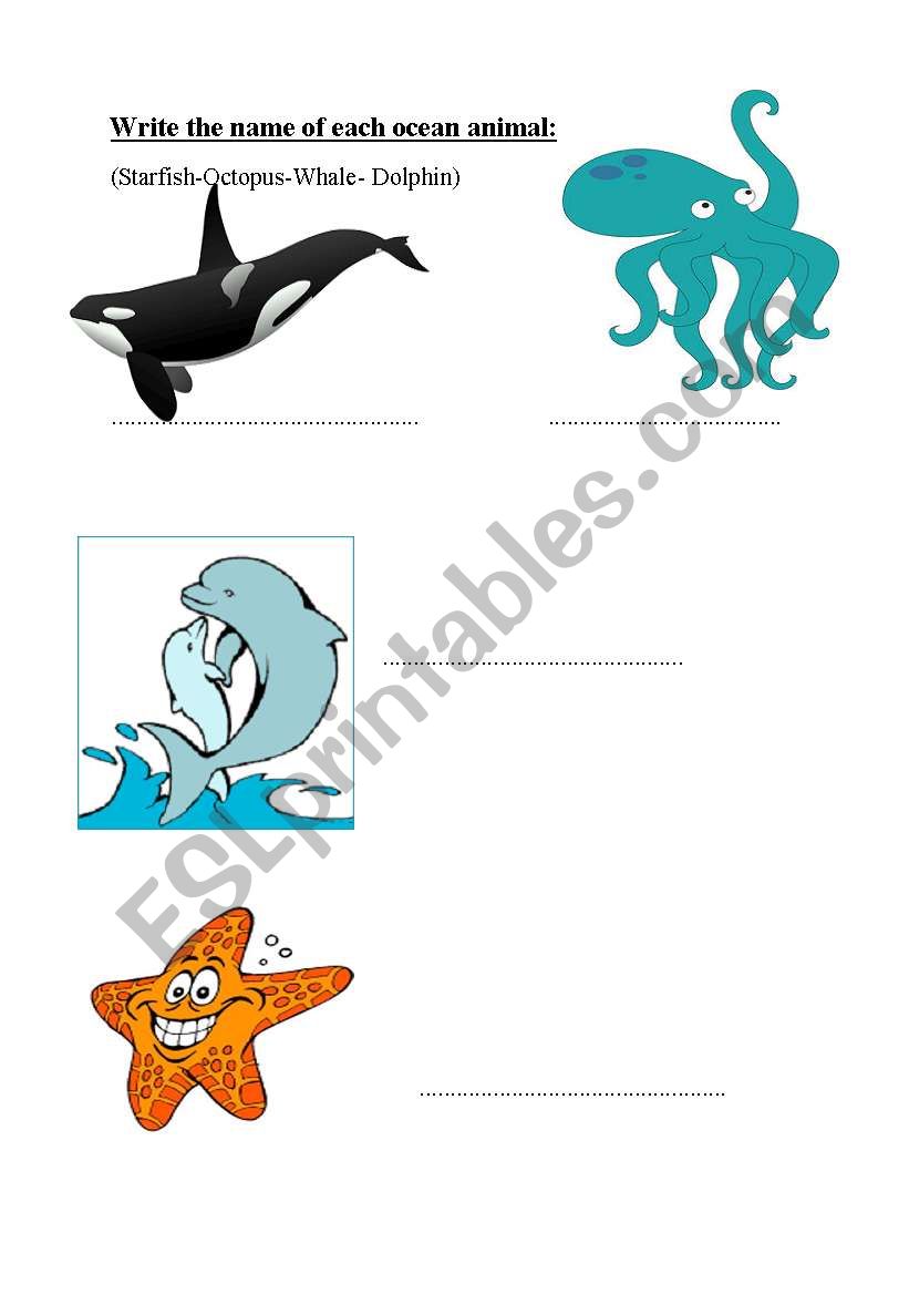 Ocean animals worksheet