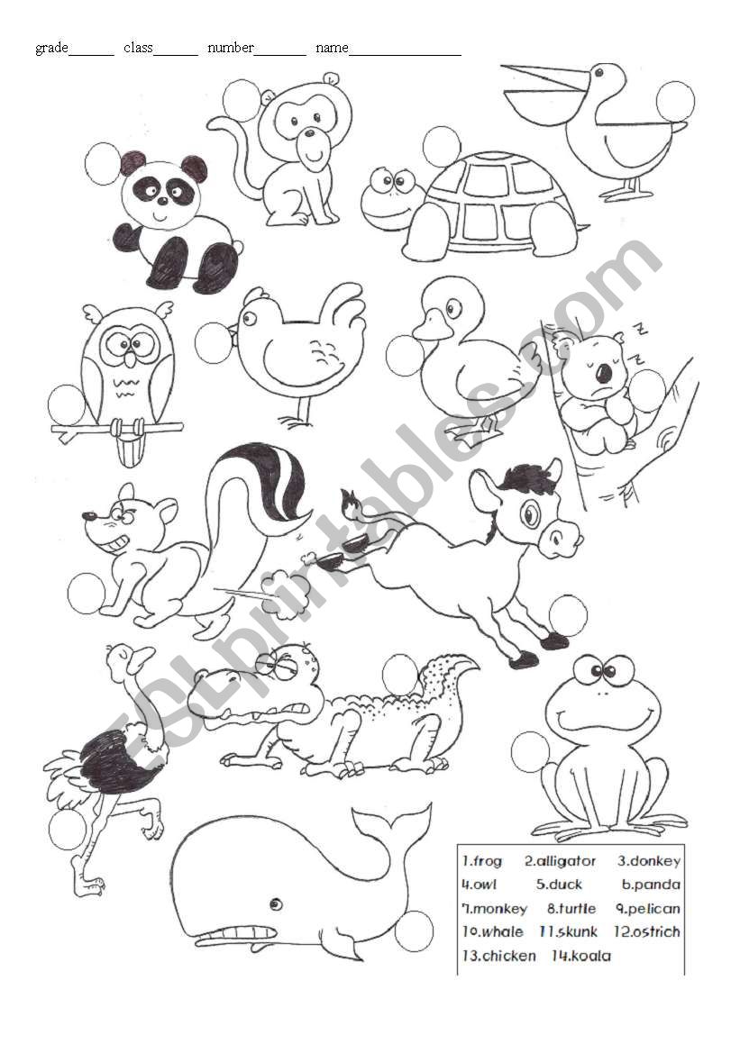 animal worksheet