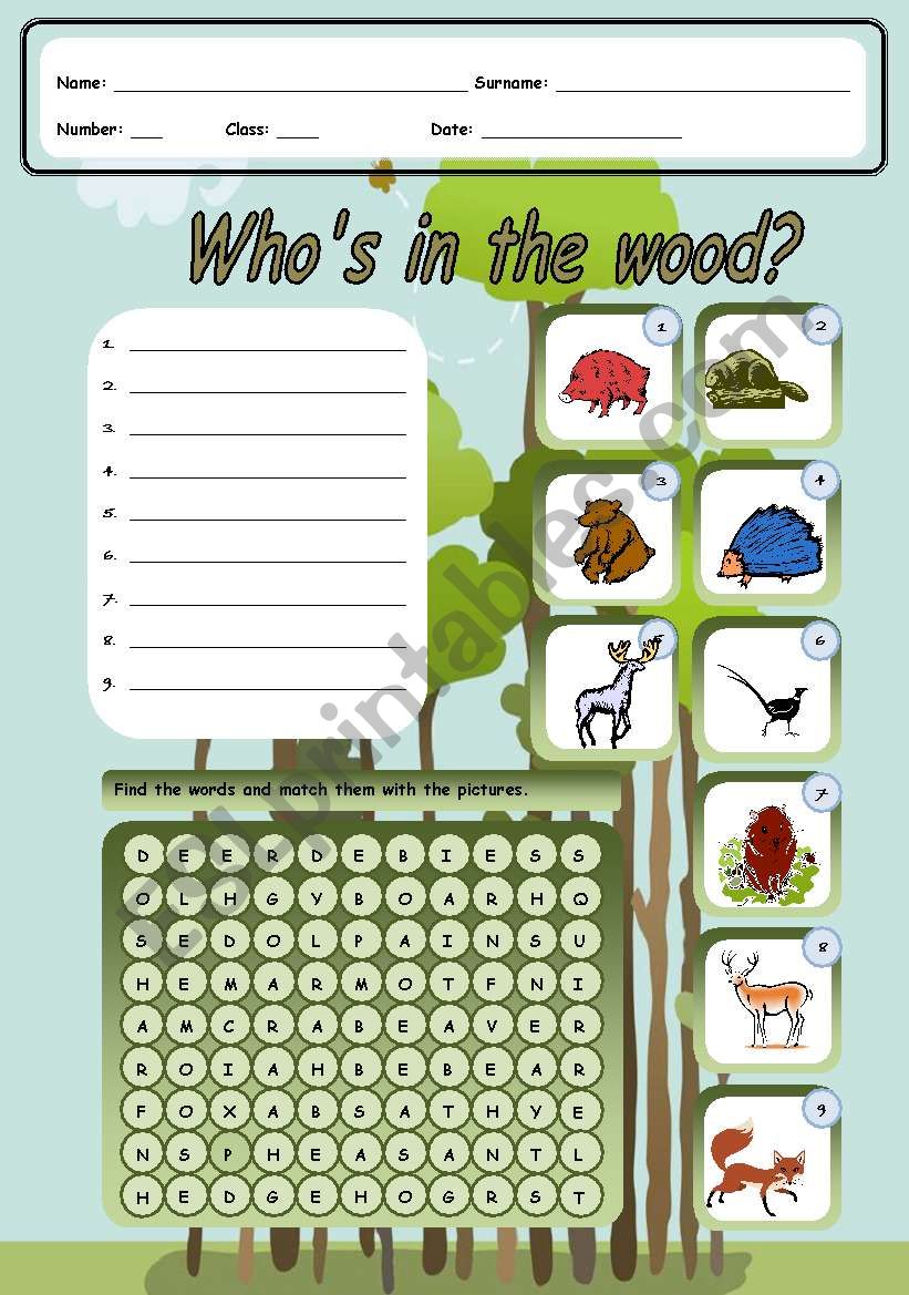 Whos in the wood? worksheet