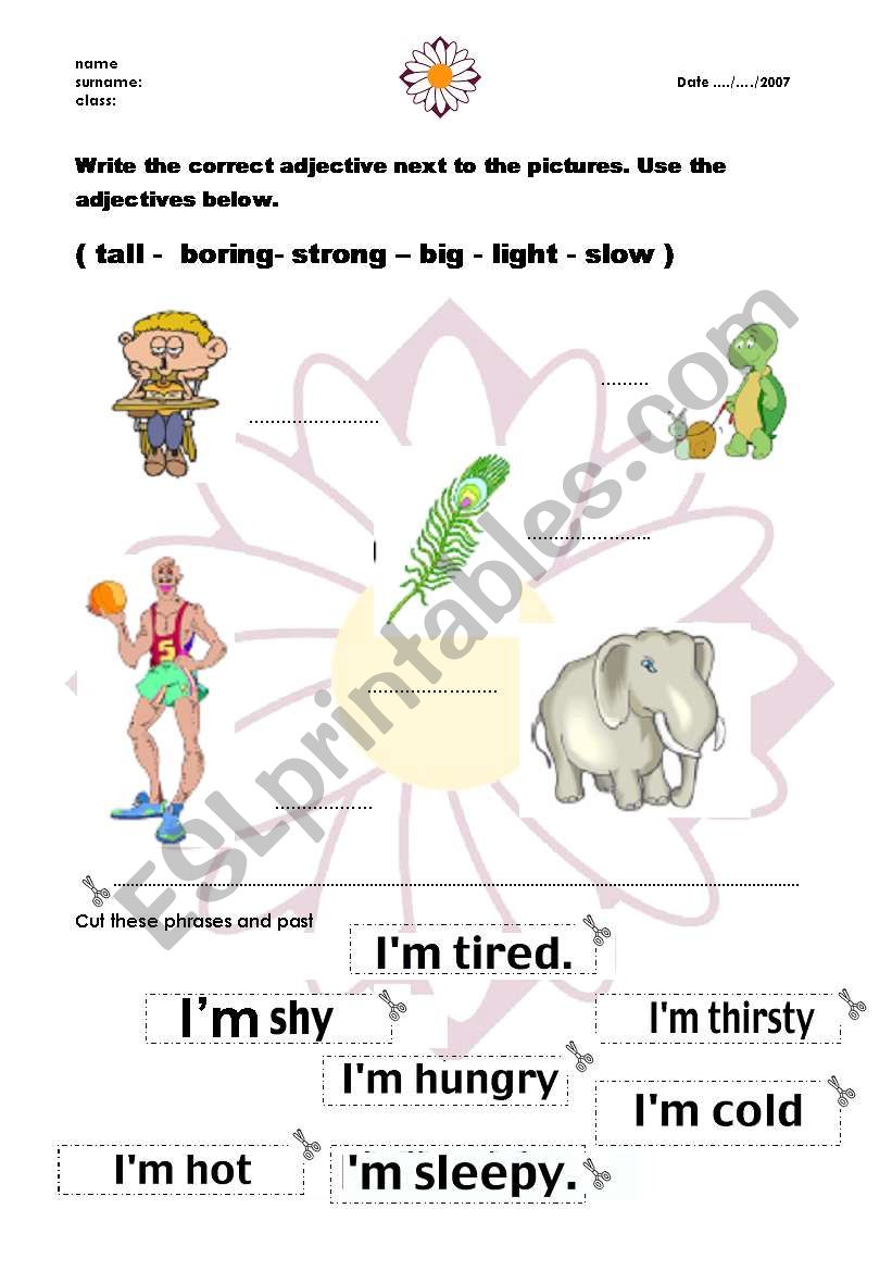 adjectives worksheet