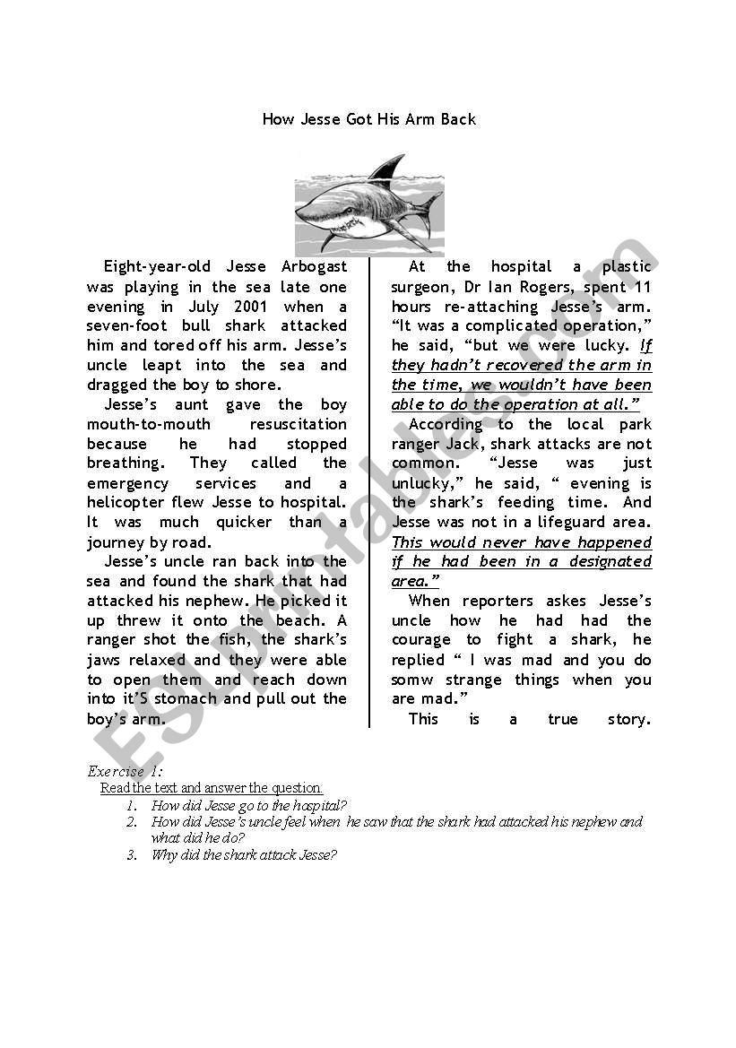 Worksheet for 3rd Conditional worksheet