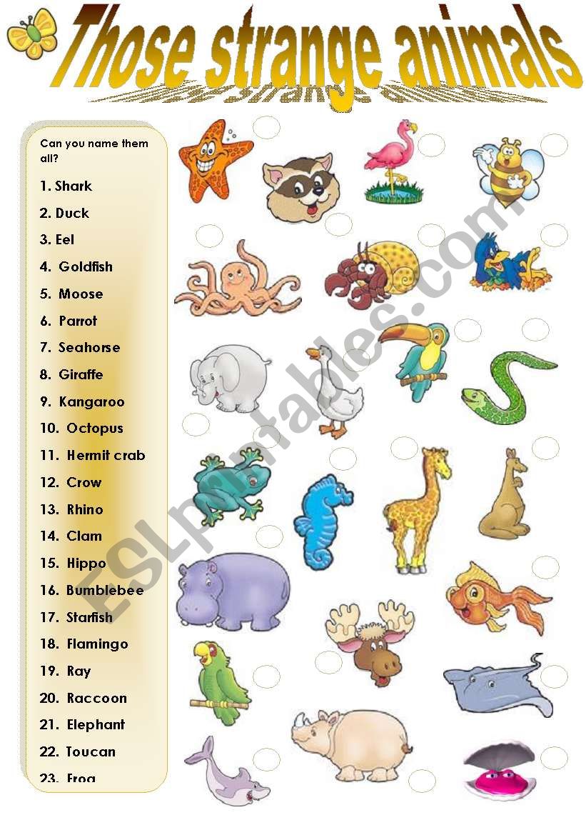 THOSE STRANGE ANIMALS worksheet