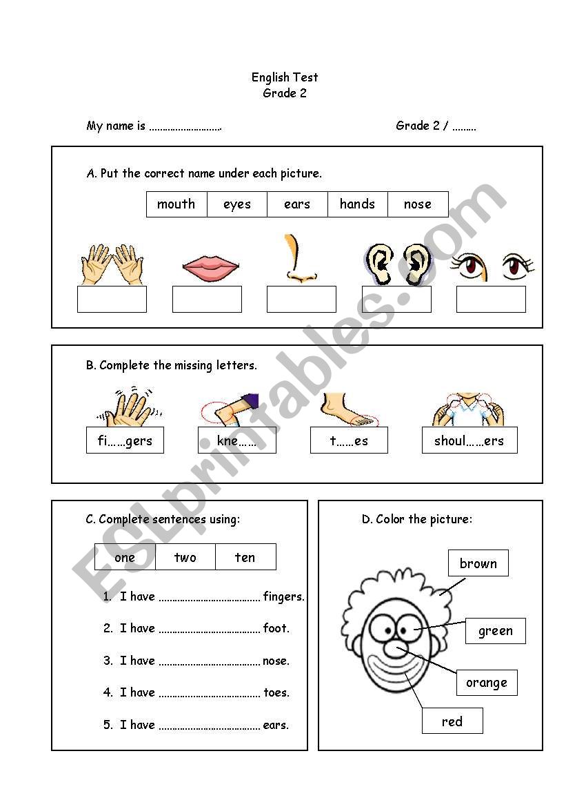 My body worksheet