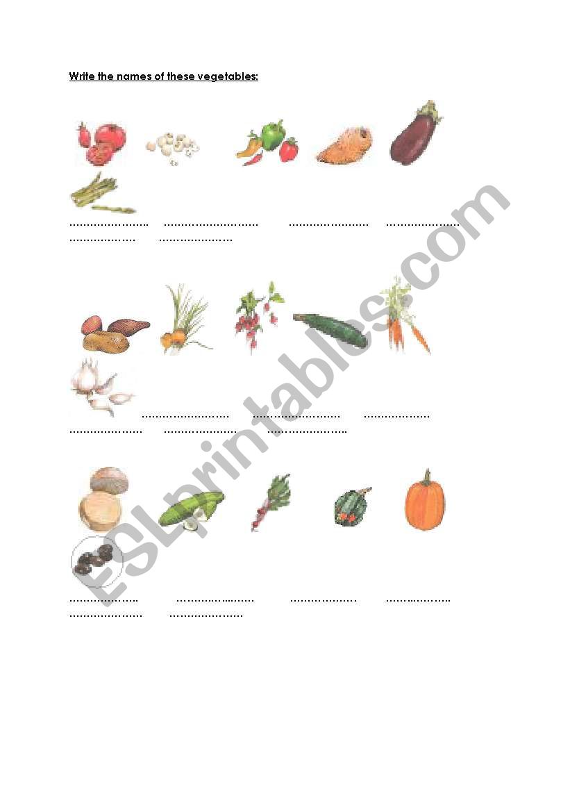 test your vegetables worksheet