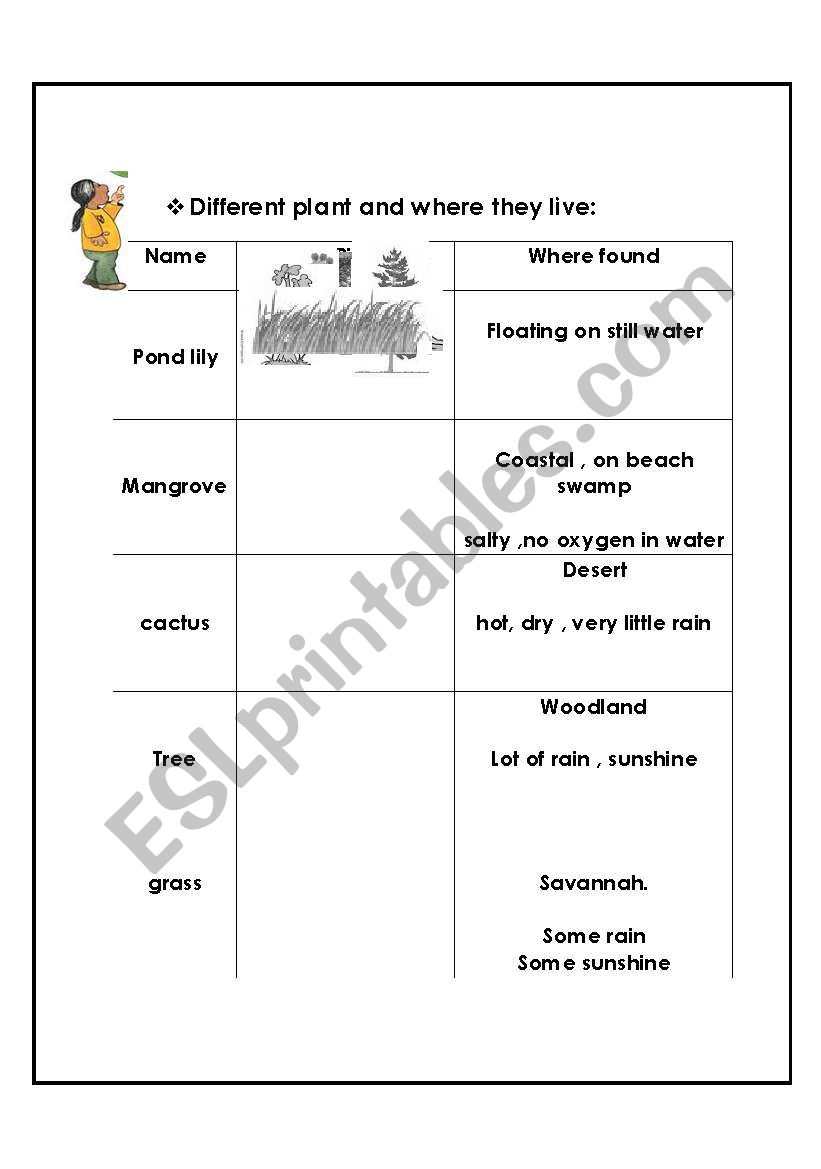 plant worksheet
