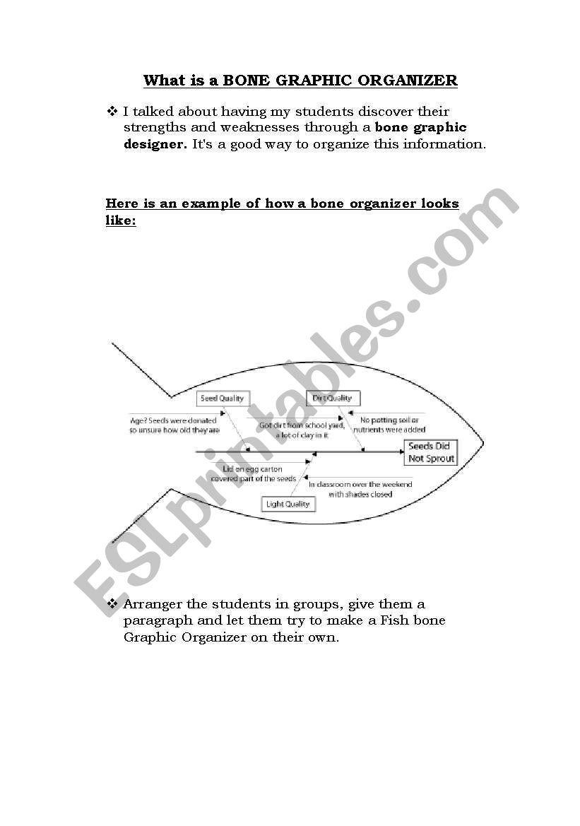 Bone Graphic Organizer worksheet