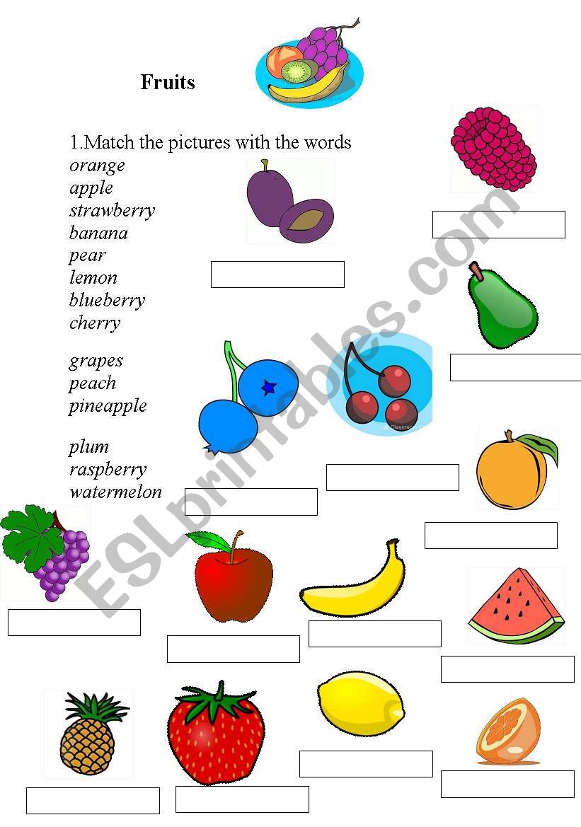 Fruits worksheet