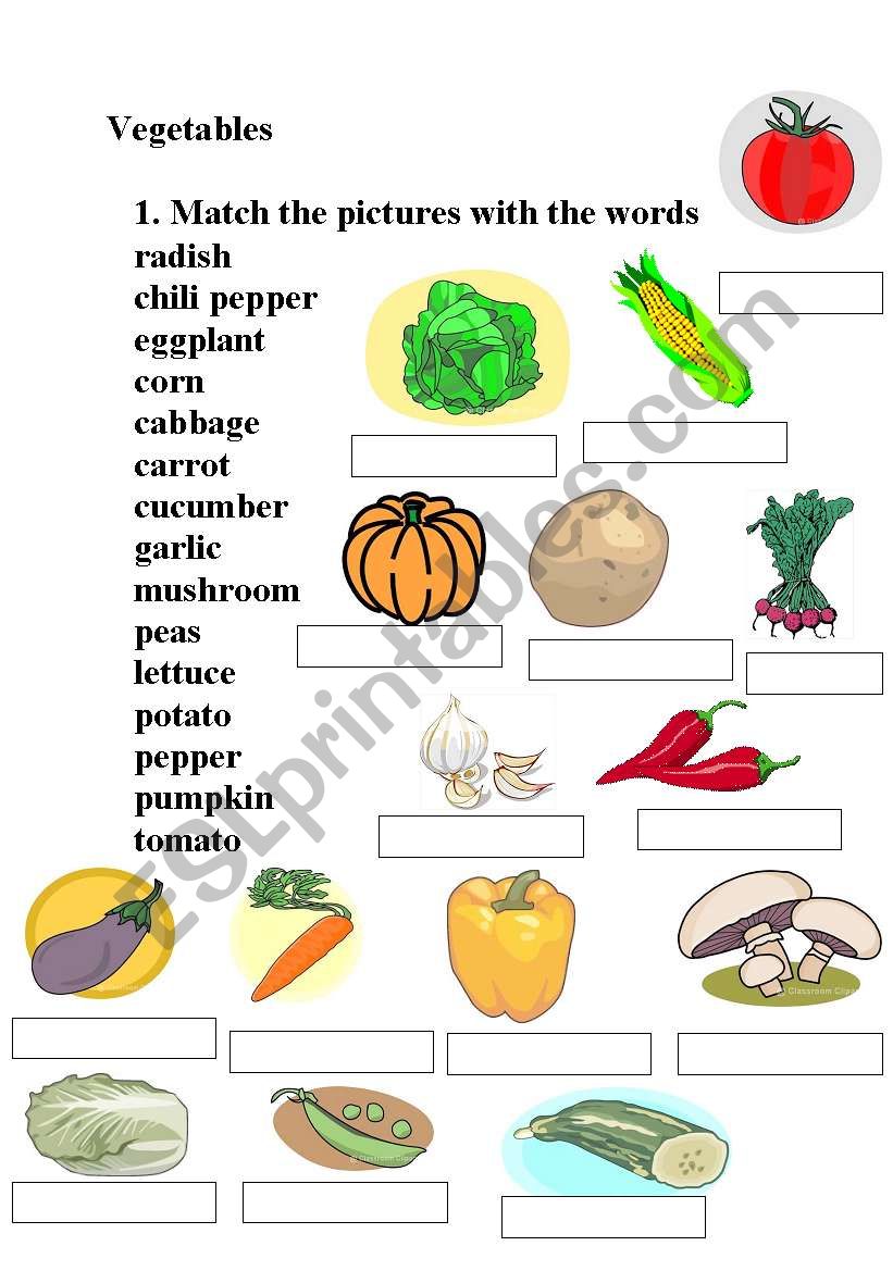 Vegetables worksheet