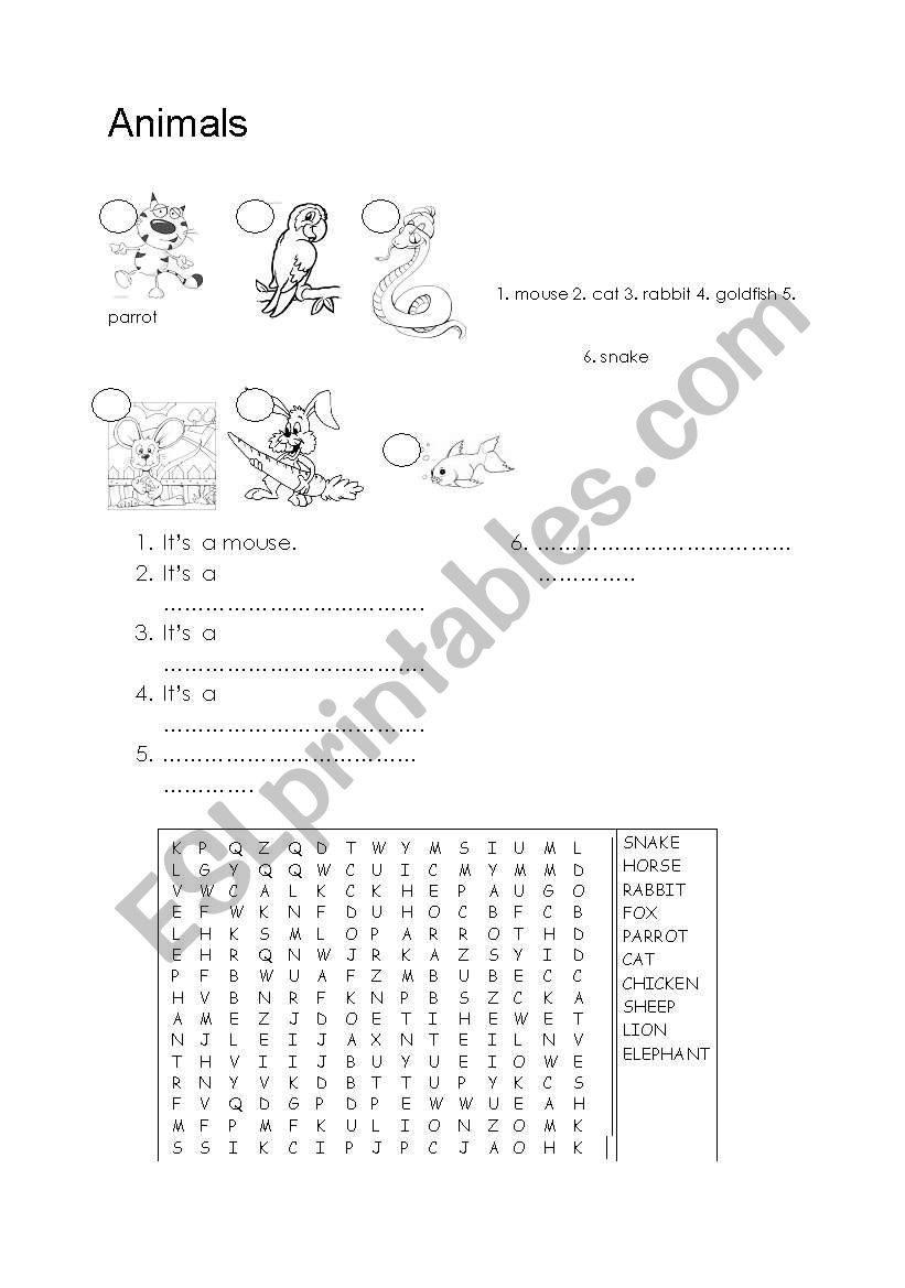 Animals worksheet