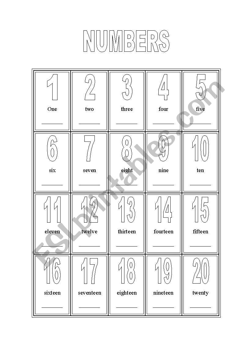 picture dictionary numbers worksheet