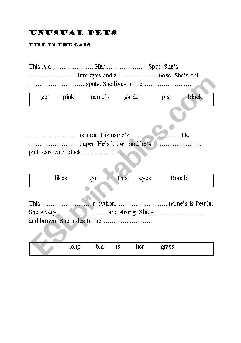 Animals - fill in the gaps exercise