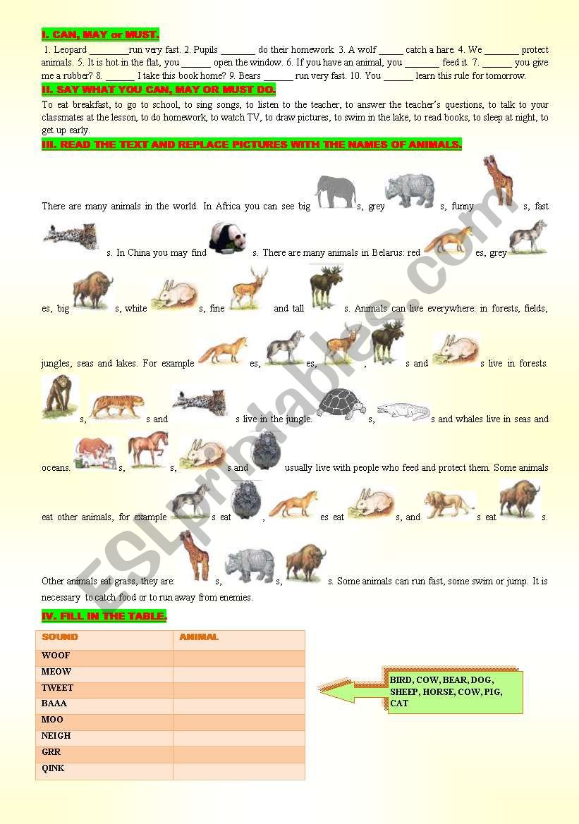 modal vebs and animals worksheet