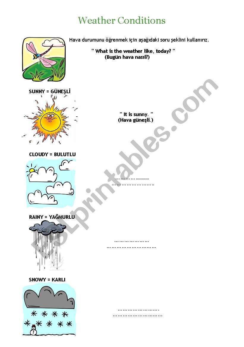weather condations worksheet
