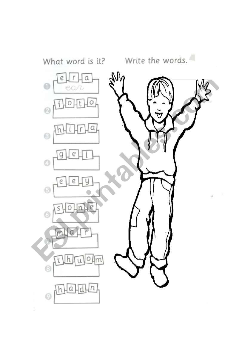 The body parts worksheet