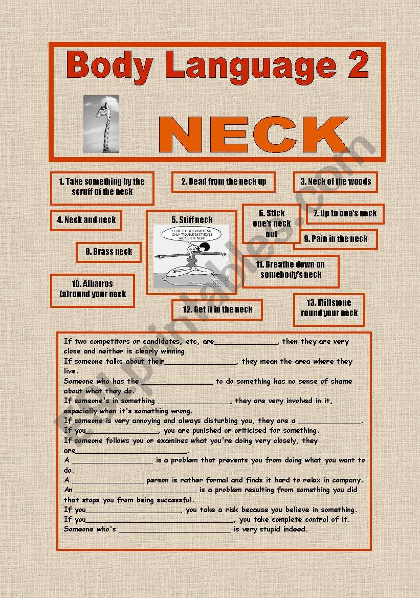 BODY LANGUAGE 2 worksheet