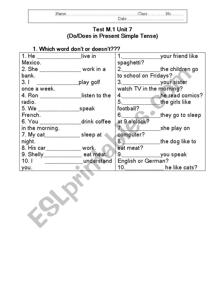 Do/DoesTest  worksheet