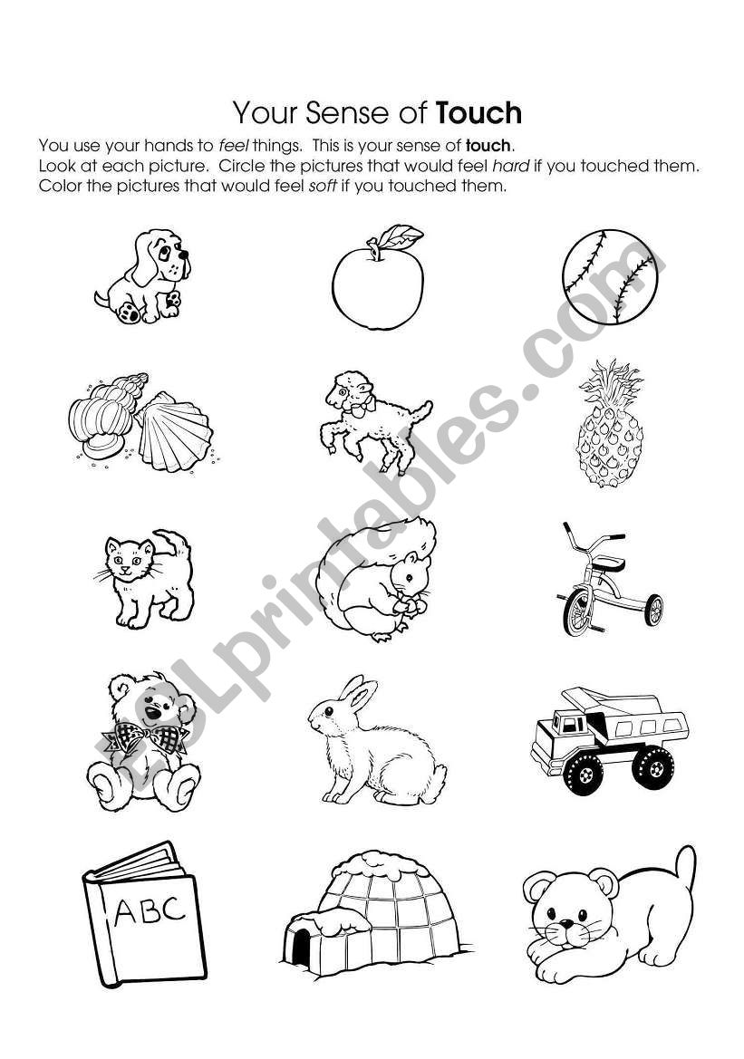 senses-touch worksheet