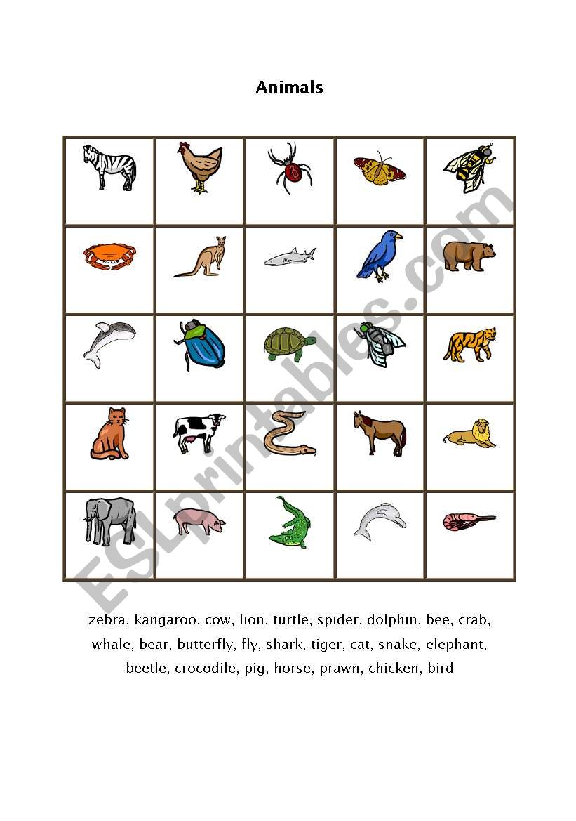 Animals worksheet