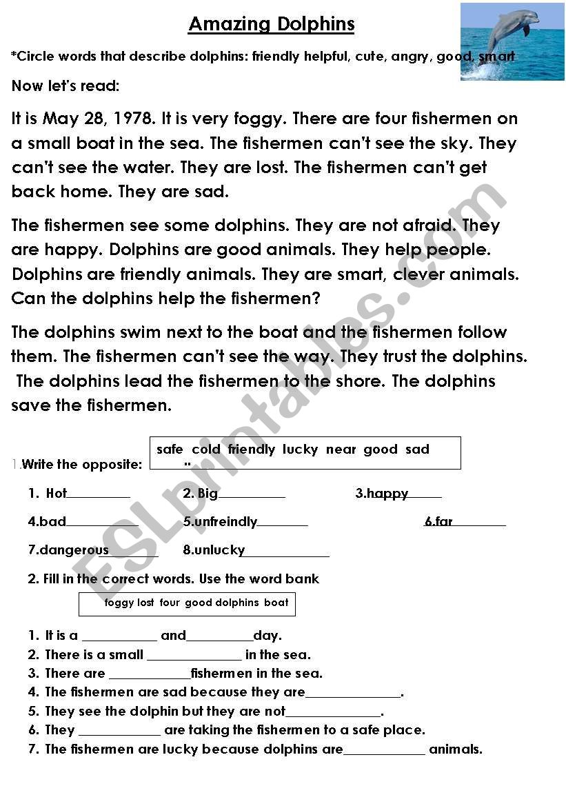amazing dolphins worksheet