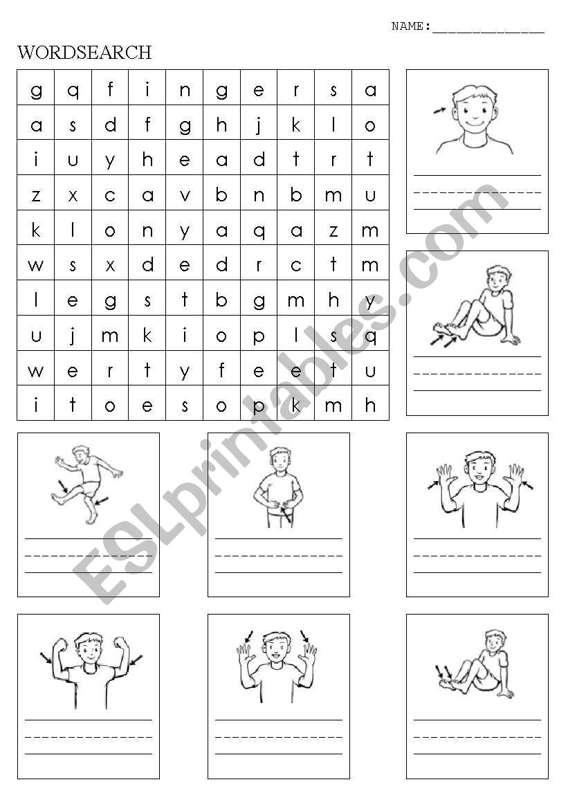 Body parts wordsearch worksheet