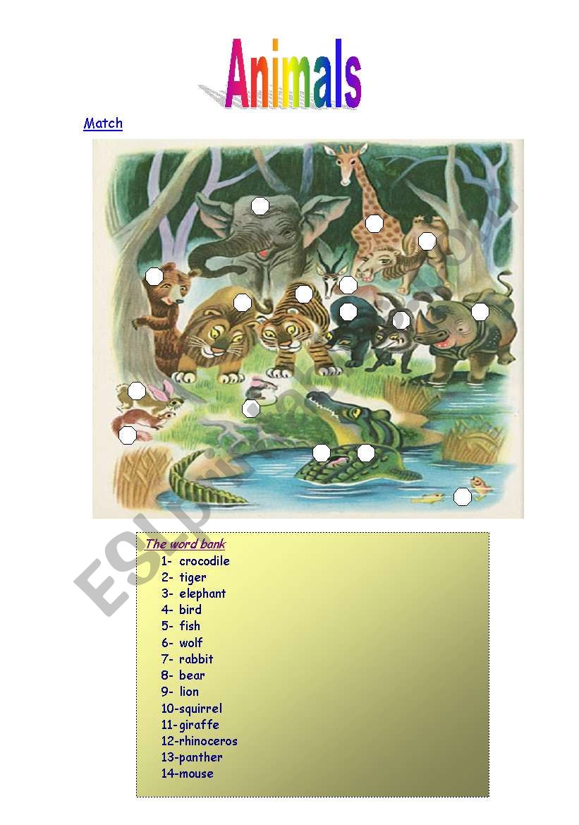 Animals  worksheet