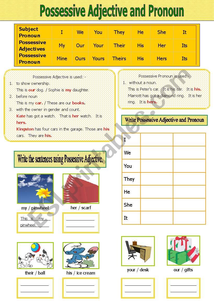 Possessive Adjective and Pronoun