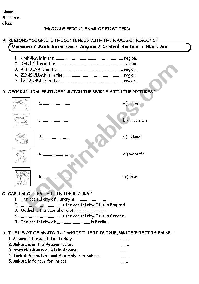 5th grade exam worksheet