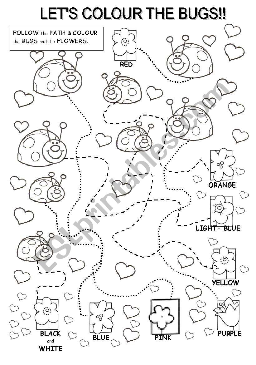 LETS COLOUR THE BUGS!!! worksheet