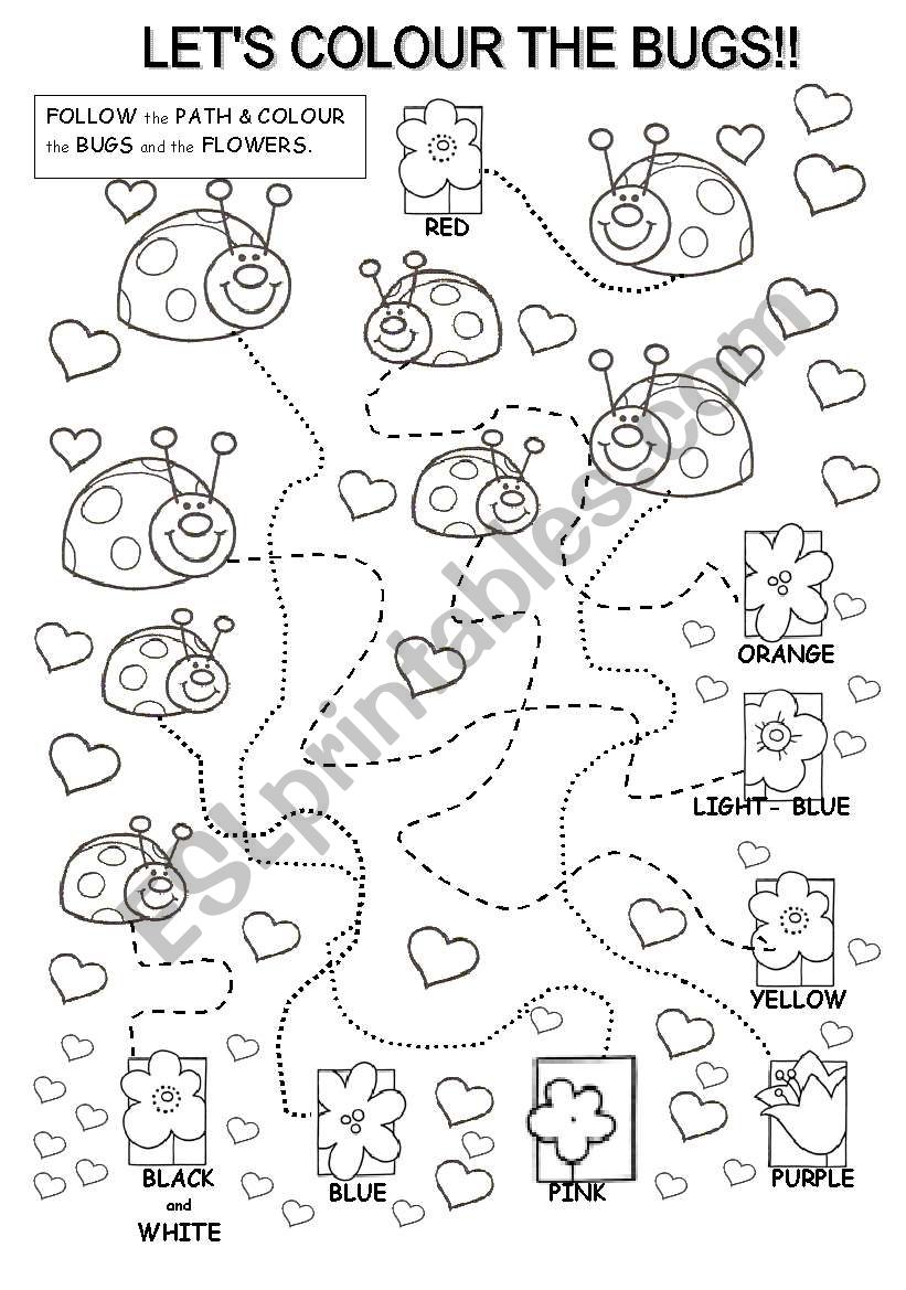 LETÂ´S COLOUR THE BUGS!!! worksheet