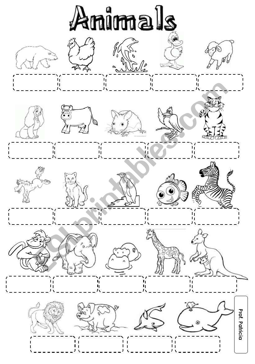 Animals pictionary B&W worksheet