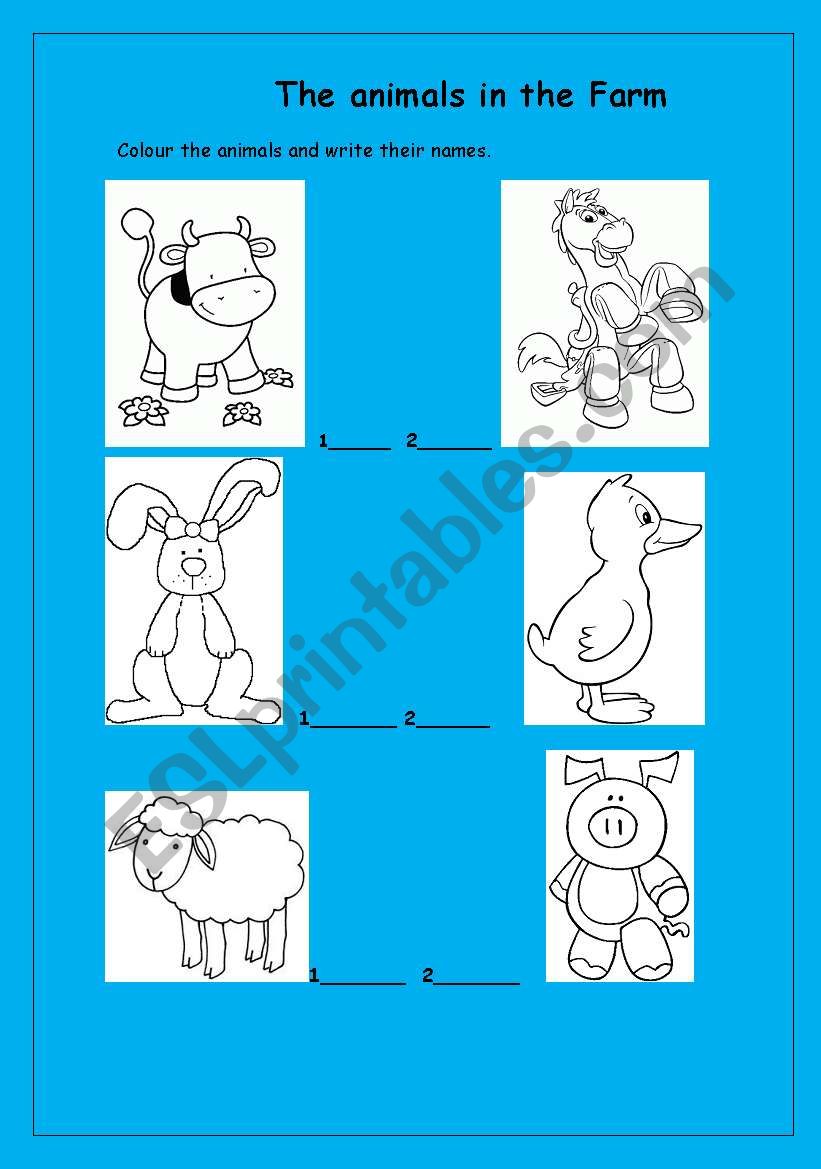 Animals worksheet