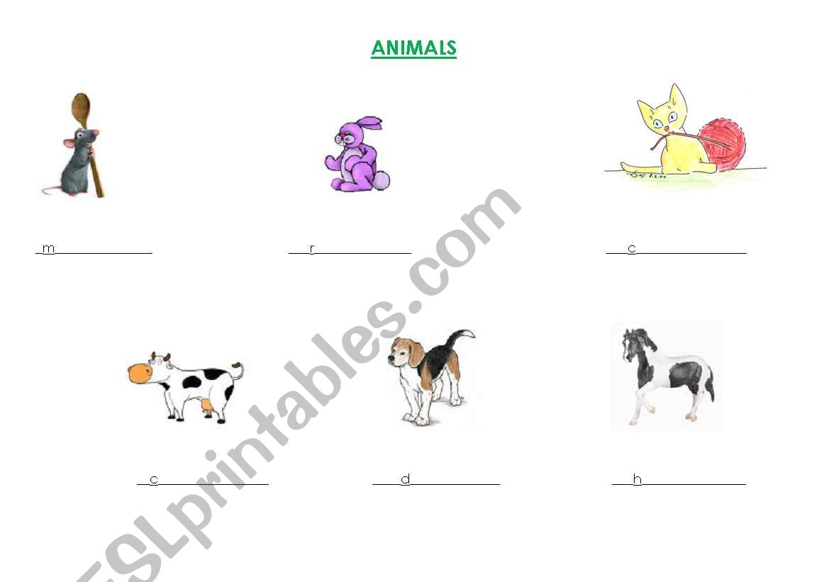 animals worksheet