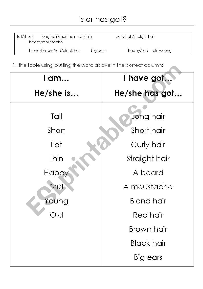 Is or Have Got? worksheet